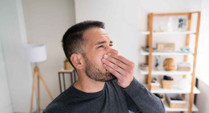 Cuáles son los secretos para eliminar los malos olores y mantener el hogar fresco