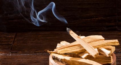 ¿Por qué no utilizar el palo santo para armonizar o limpiar energéticamente?