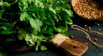 Cuáles son los beneficios del agua de cilantro para un mejorar el sueño