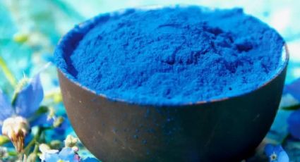 Así es la espirulina azul, el superalimento que te ayudará a ganar masa muscular y perder peso