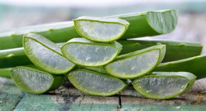 Cuida tu piel y cabello con gel de aloe vera hecho en casa: sencillo y económico