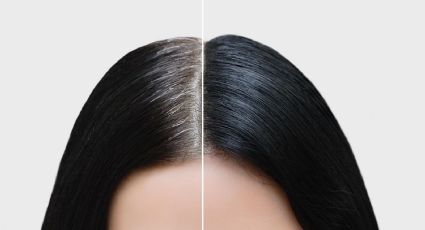 Cuida tu cabello y elimina el olor a fritura con soluciones fáciles