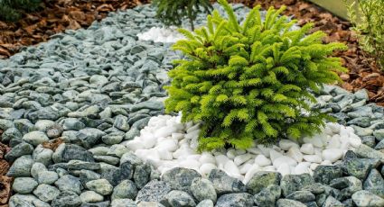 Sigue estas creativas ideas para engalardonar tu jardín con piedras y madera