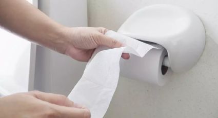 Crea tu repelente casero con papel higiénico y cuidate en verano