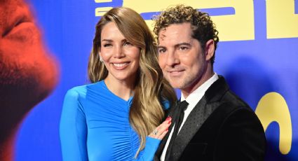 David Bisbal y Rosanna Zanetti lo confirmaron y dieron la feliz noticia