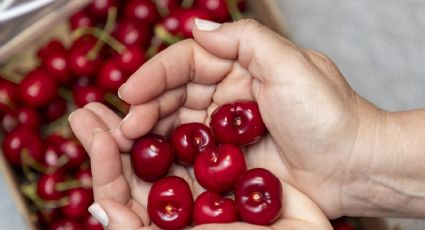 Ten cuidado al comer cerezas este verano