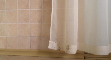 Cómo eliminar los hongos de las cortinas del baño con estos secretos naturales