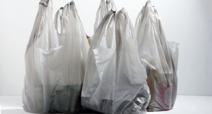 Cómo reutilizar y reciclar bolsas de plástico: las mejores ideas