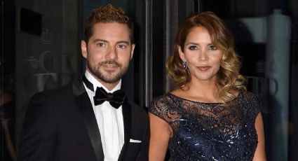 David Bisbal y Rosanna Zanetti confirman que los rumores son ciertos