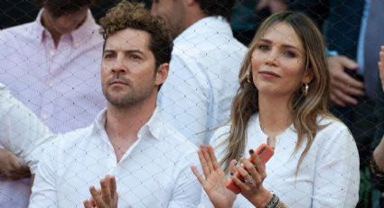 David Bisbal y Rosanna Zanetti confirmaron lo que muchos sospechaban