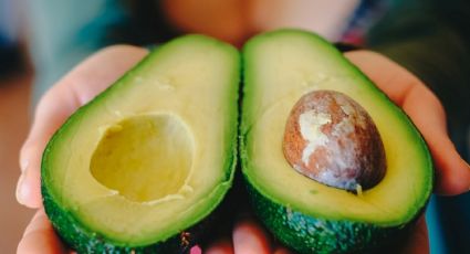 Los beneficios que ofrece la palta y que seguramente no conocías