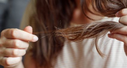 Cuál es la receta casera ideal para revitalizar el cabello sin gastar dinero