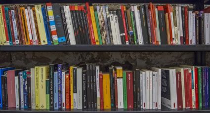 Cuáles son los mejores consejos para organizar una biblioteca personal adecuadamente