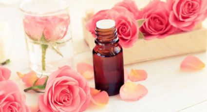 Los múltiples beneficios del aceite de rosa mosqueta para la piel