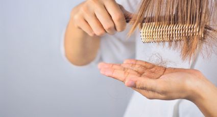 Cómo evitar la caída del cabello: estos son los trucos caseros más efectivos