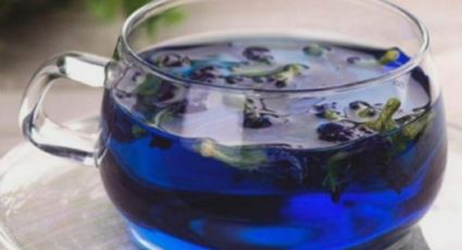 Descubre el té azul: la infusión mágica que te ayudará a dormir y a bajar de peso