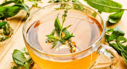 Té de menta: porque está infusión es la mejor aliada si quieres bajar de peso