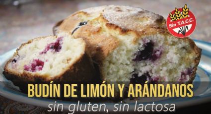 Receta de budín de limón con arándanos sin gluten y sin lactosa