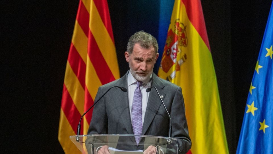 Rey Felipe VI. Fuente: (Google).