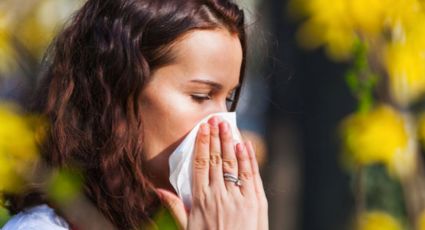 ¿Cómo aliviar los síntomas de las alergias en primavera?