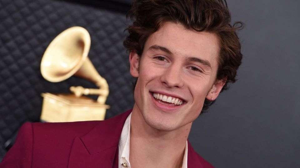 Shawn Mendes. Fuente: (Google).