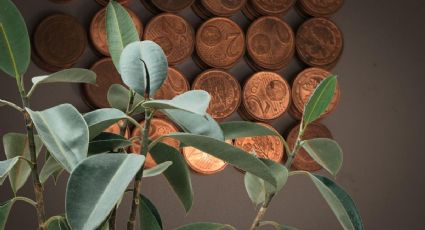 Busca la prosperidad económica con simples monedas gracias al famoso ritual de la abundancia